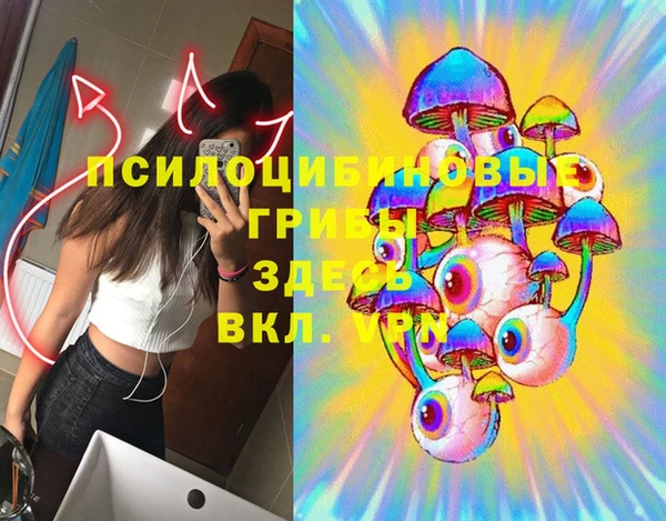 стаф Абаза