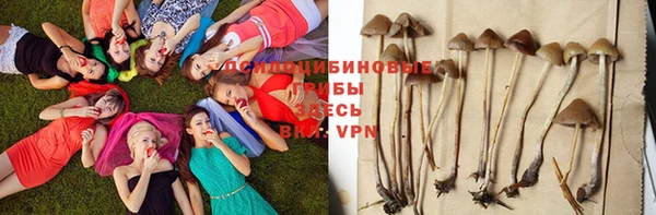 стаф Абаза