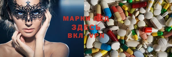 стаф Абаза