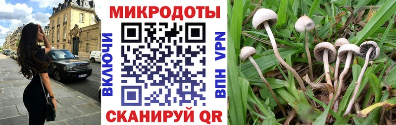 darknet клад  Ядрин  Галлюциногенные грибы GOLDEN TEACHER  MEGA сайт 