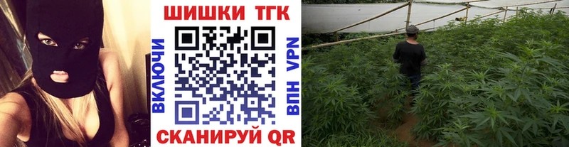 Шишки марихуана планчик  Ядрин 